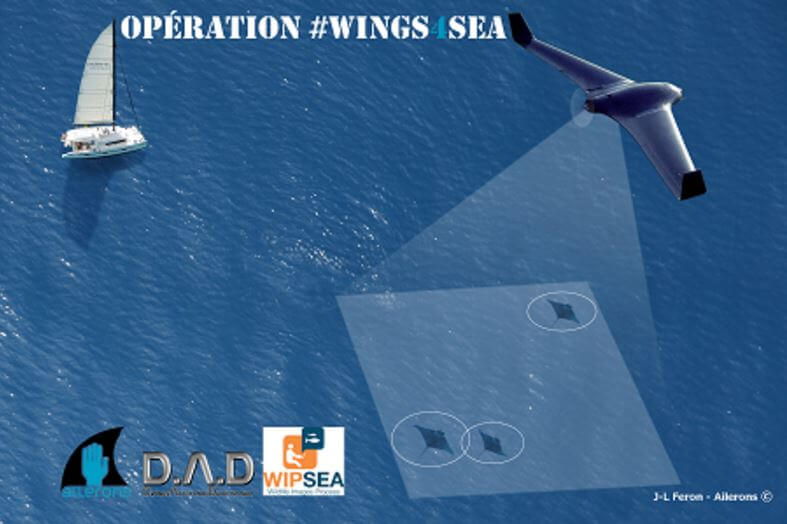 Wings4sea Ailerons drone requin raie