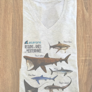 t-shirt requin